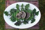 Ute Ritschel - Finnish Wild Food