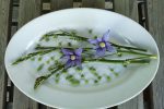 Ute Ritschel - Finnish Wild Food