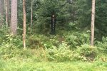 Veikko Björk - Huldra
