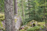 Hidden Pictures / Rocks / Pirko Julia Schröder