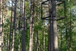 Anthony Shepherd / Connecting Spaces