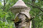 Lana Gunjevic' / Mielikki's Mushroom