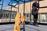 Yasushi Koyama, Jakobstad Lion